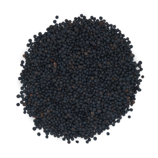 Bio Beluga-Linsen 1 kg