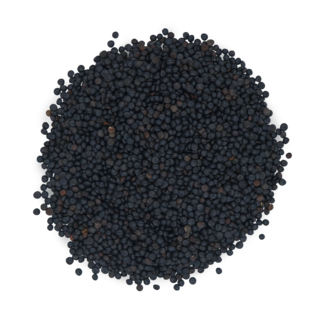 Bio Beluga-Linsen 1 kg