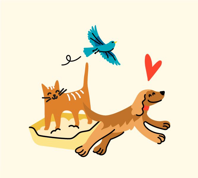 Alimentation pour animaux