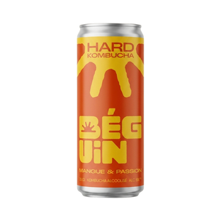 Hard kombucha passion & mangue 5° bio