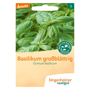 Bio Saatgut Basilikum großblättrig, demeter