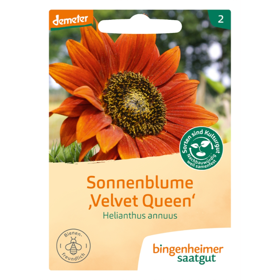 Bio Saatgut Sonnenblume Velvet Queen, demeter
