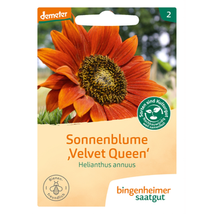 Bio Saatgut Sonnenblume Velvet Queen, demeter