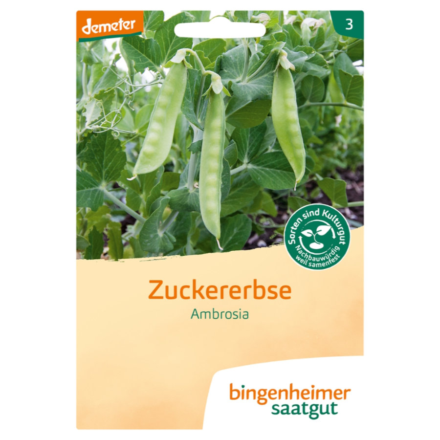 Bio Saatgut Zuckererbse Ambrosia, demeter