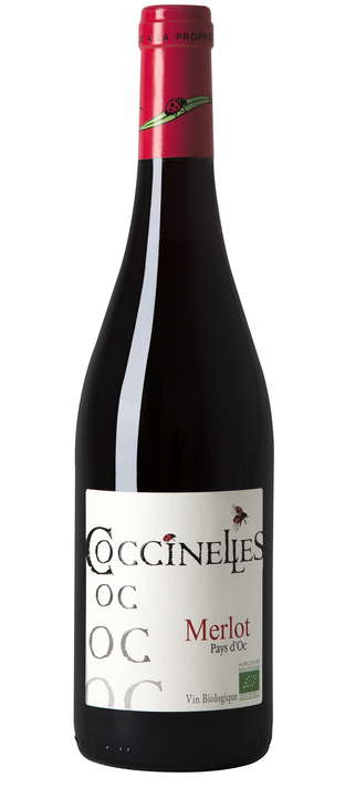 Vin rouge - IGP Pays d'Oc Merlot 13° bio