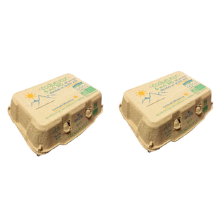 Lot d'œufs plein air bio x 12