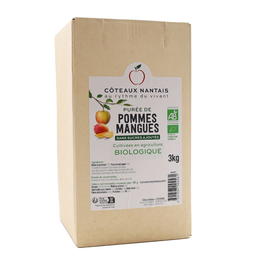 Purée Pommes Mangues Bio