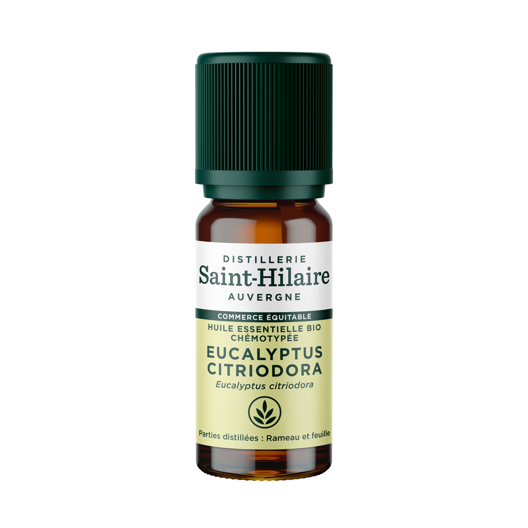 Huile Essentielle d'Eucalyptus Citronné Bio