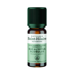 Huile Essentielle d'Eucalyptus Globulus Bio
