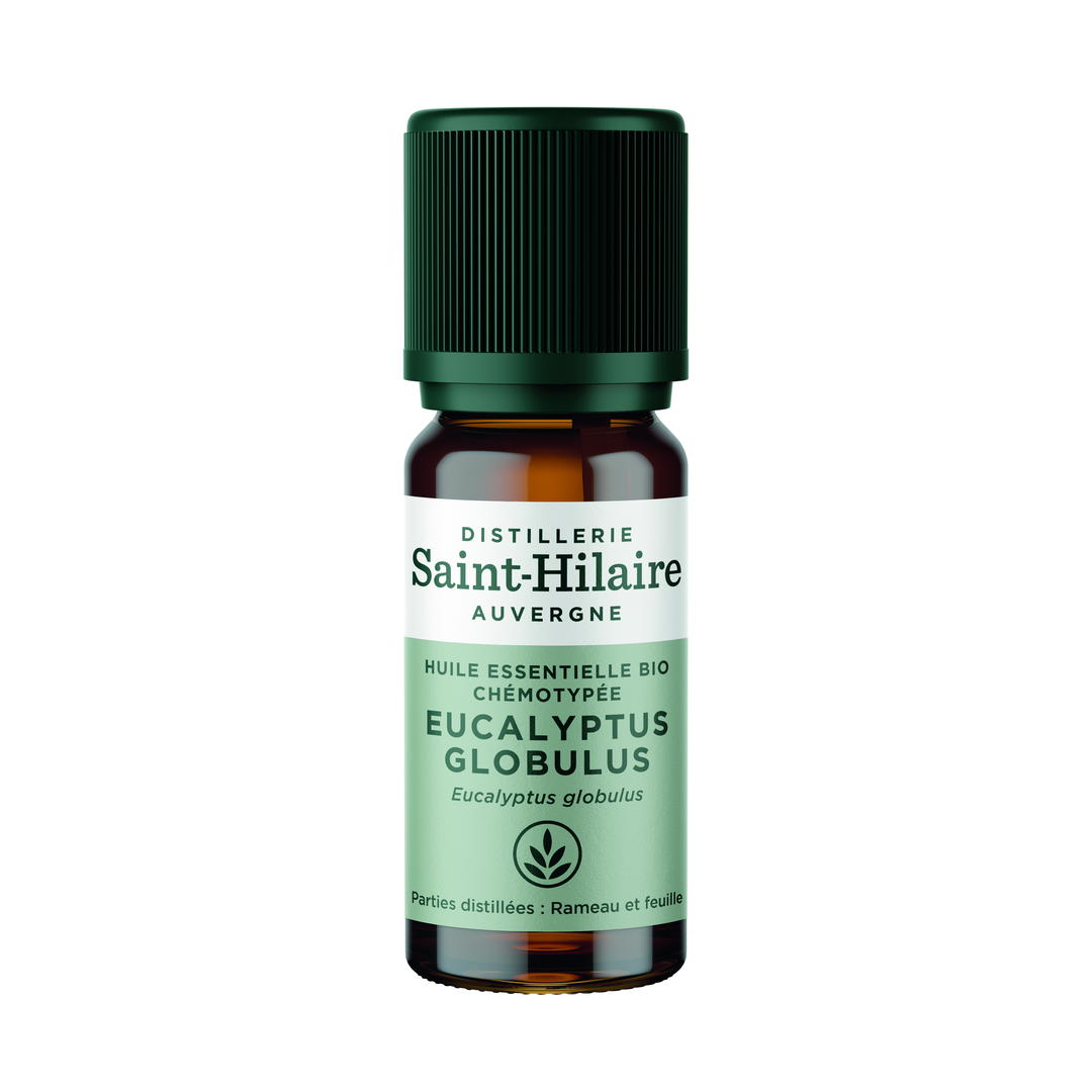 Huile Essentielle d'Eucalyptus Globulus Bio