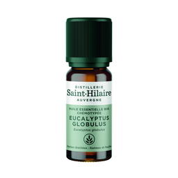 Huile Essentielle d'Eucalyptus Globulus Bio