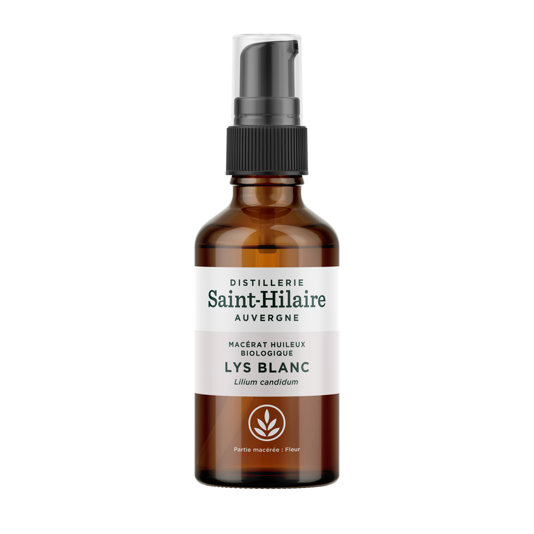 Macérat huileux de lys bio