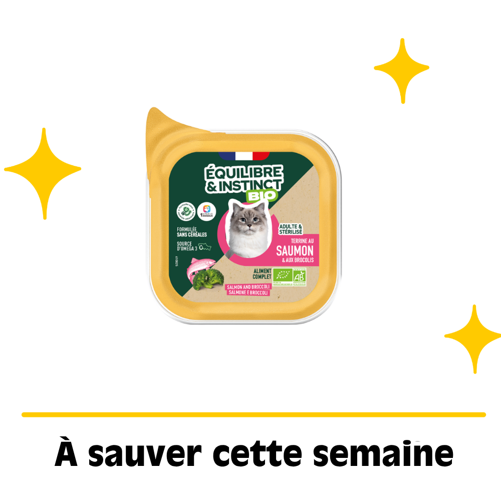 Terrine pour chat saumon et brocolis bio