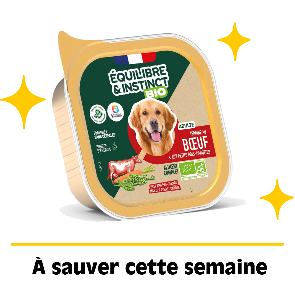Terrine pour chien adulte boeuf bio