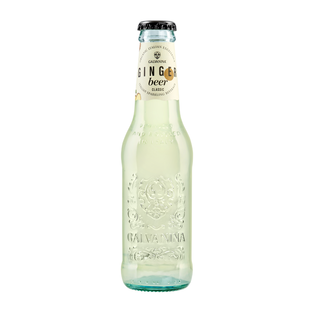 Ginger Beer Bio
