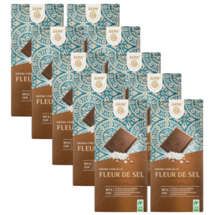 Bio Schokolade Fleur de Sel, Karton 10 Stk.