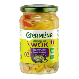 Légumes Wok Haricots Mungo Brocoli Oignons Poivrons Bio