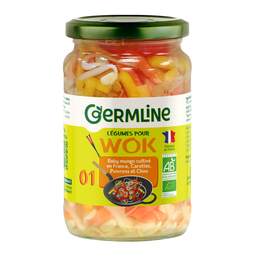 Légumes Wok Haricots Mungo Carotte Poivrons Chou Bio