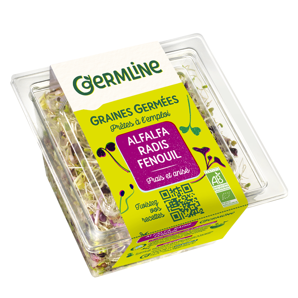 Alfalfa radis fenouil germés bio