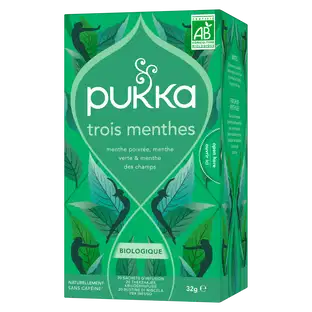 Infusion 3 menthes bio x 20