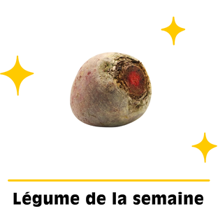 Betteraves Rouges Bio Origine France