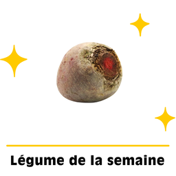 Betteraves Rouges Bio Origine France
