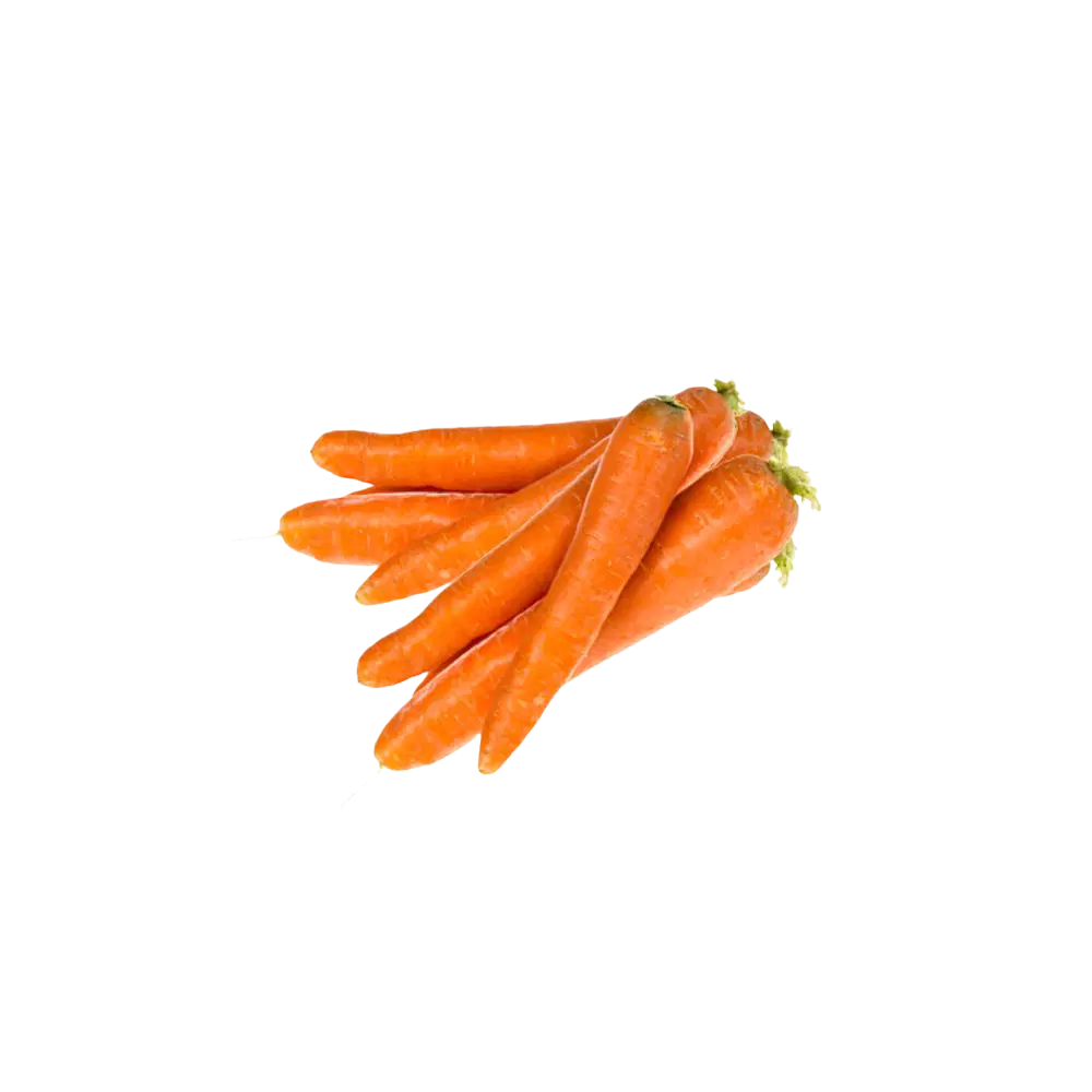 Carottes bio origine France en filet - 1kg