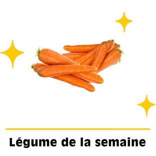 Carottes Bio Origine France - 2kg