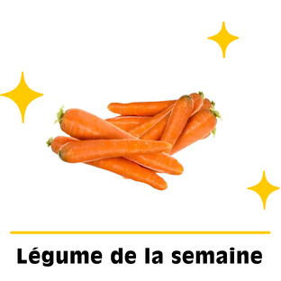 Carottes bio origine France - 2kg