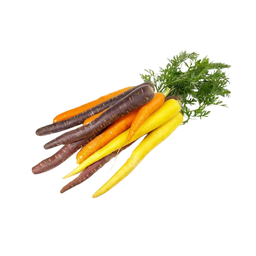 Carottes couleur bio origine France