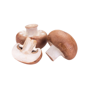 Champignons de Paris bio origine France