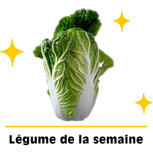 Chou Chinois Bio Origine France