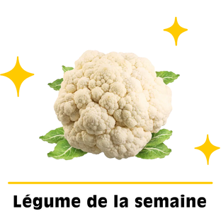 Chou-Fleur Bio Origine France