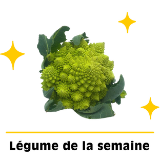 Chou romanesco bio origine France