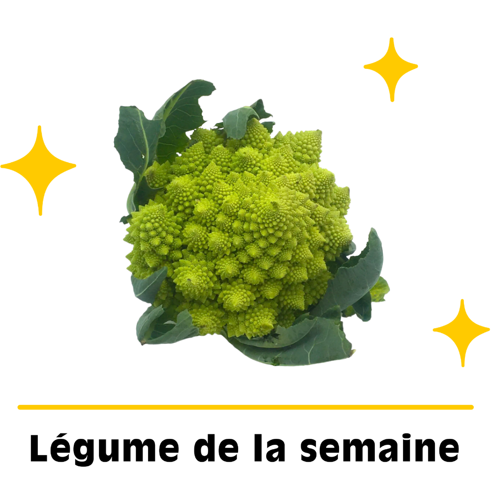Chou romanesco bio origine France