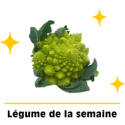 Chou romanesco bio origine France