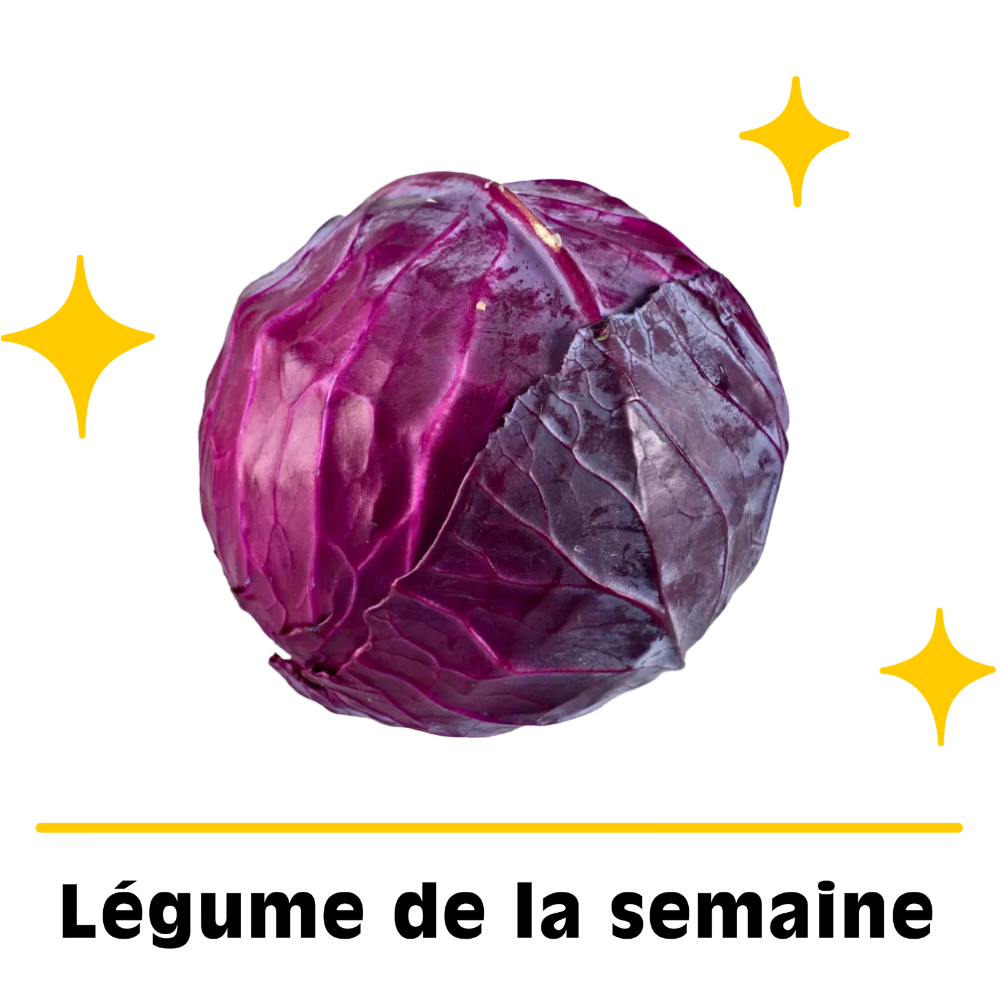 Chou rouge bio origine France