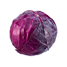 Chou Rouge Bio Origine France