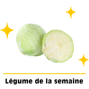 Chou lisse bio origine France