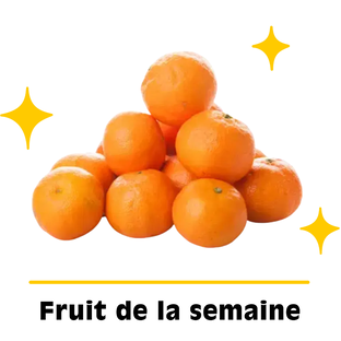 Clémentines Bio Origine Espagne
