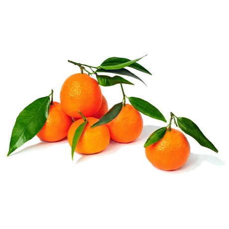 Clémentines bio origine Corse