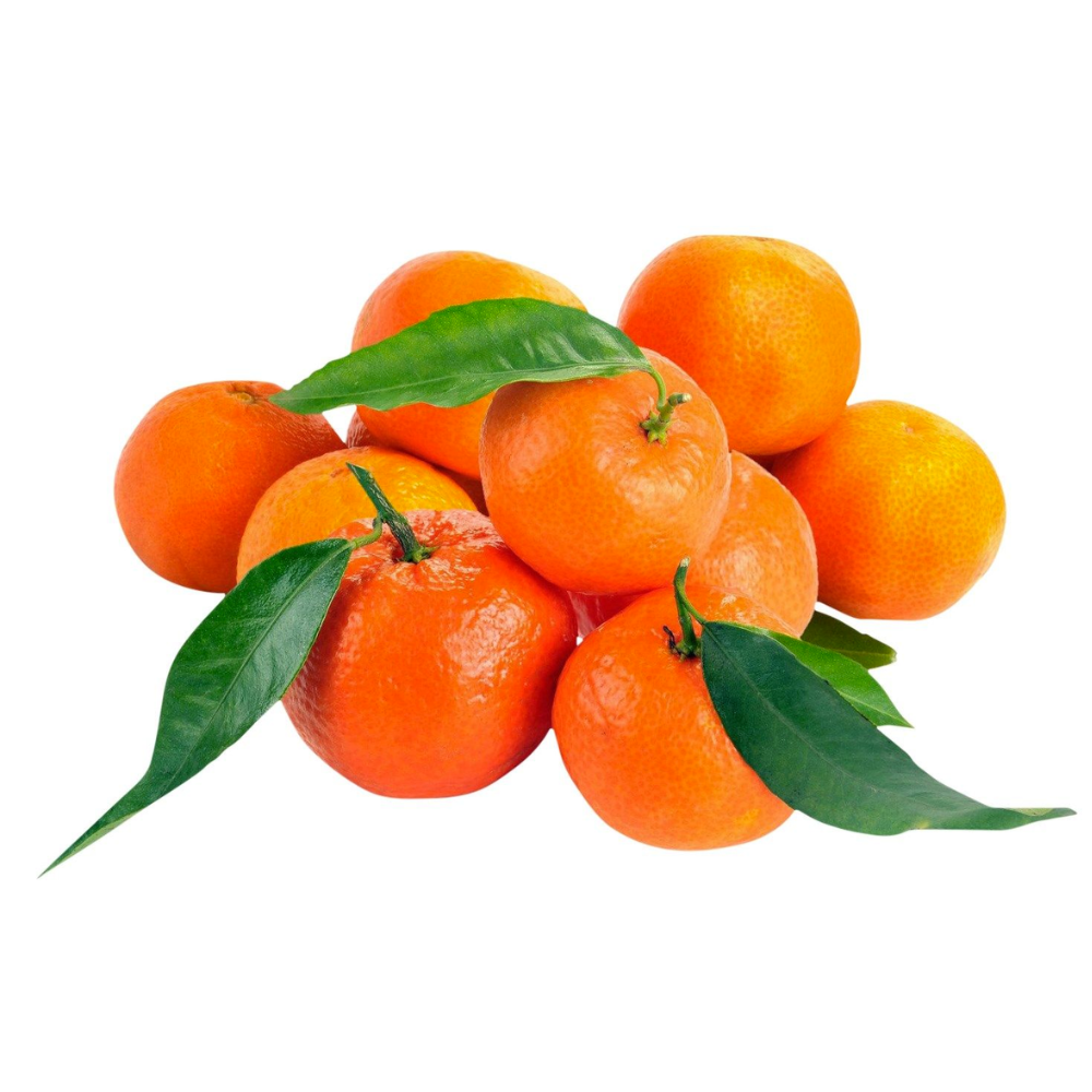 Clémentines bio origine Corse