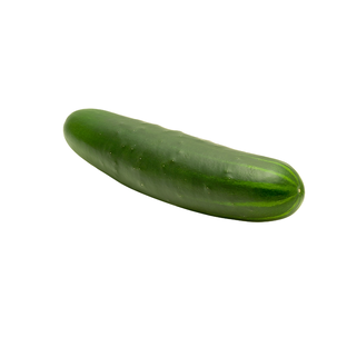 Concombre Noa bio origine France