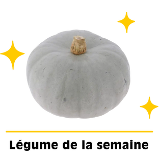 Courge Bleue de Hongrie petit calibre bio origine France