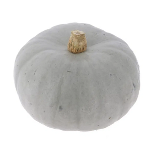Courge Bleue de Hongrie petit calibre bio origine France