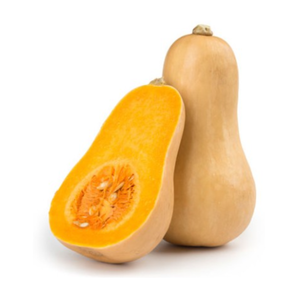 Courge Butternut petit calibre bio origine France