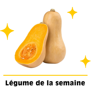 Courge Butternut petit calibre bio origine France