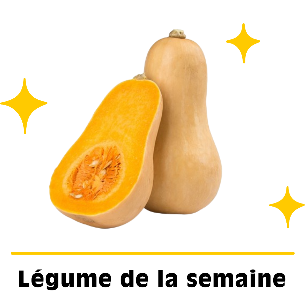 Courge Butternut petit calibre bio origine France