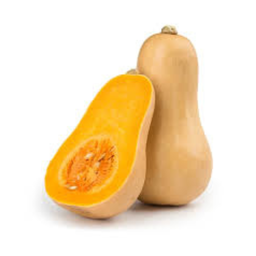 Courge Butternut Petit Calibre Bio Origine France