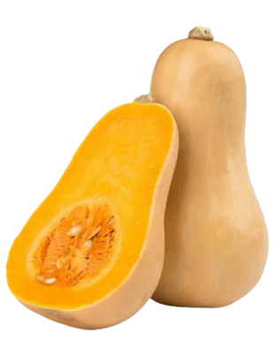 Courge Butternut petit calibre bio origine France